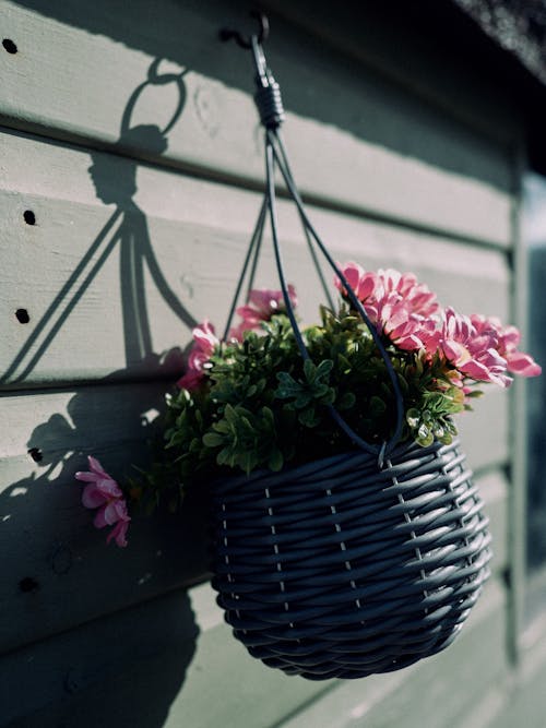 A basket with flowers hanging from a wall