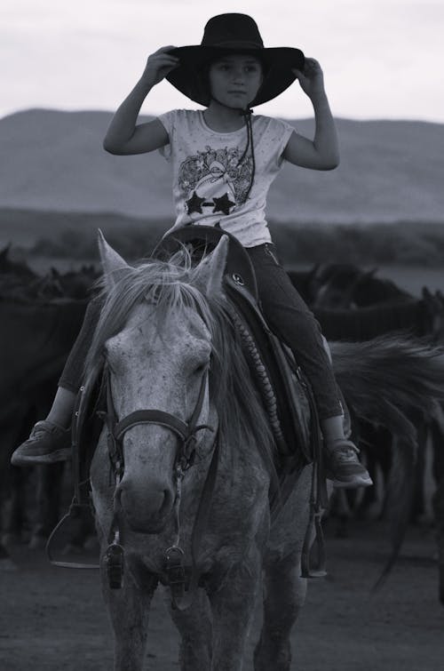 Kostenloses Stock Foto zu abenteuer, cowboy, equitation