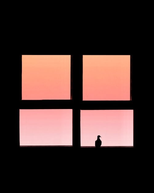 A man standing in front of a window with pink and orange sunsets