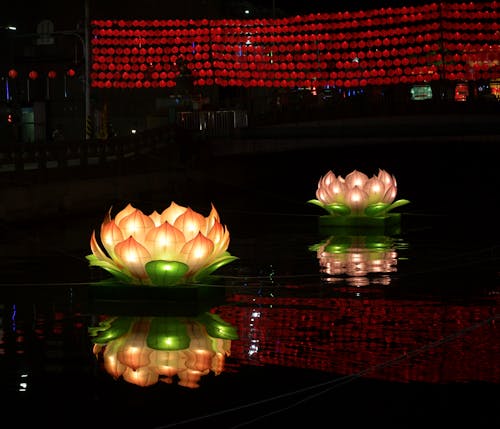 A lotus flower floating in the water with red lights