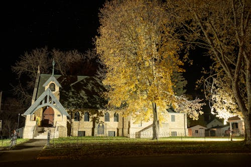 A church is lit up at night with yellow leaves