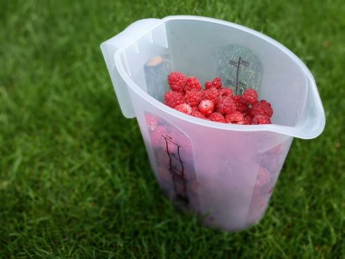 Free stock photo of fruits, picnic, raspberries Stock Photo