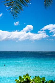 Serene tropical beach scene with palm leaves and vibrant blue sea under a clear sky.