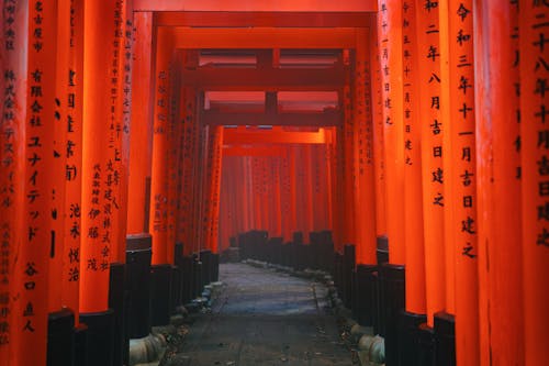 Lost in Kyoto