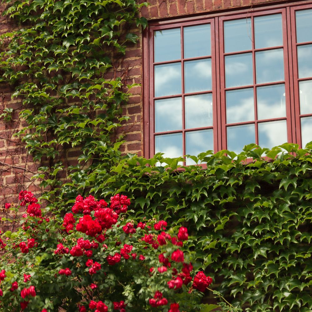Exterior Painting in Southgate — the finished result after a professional repaint