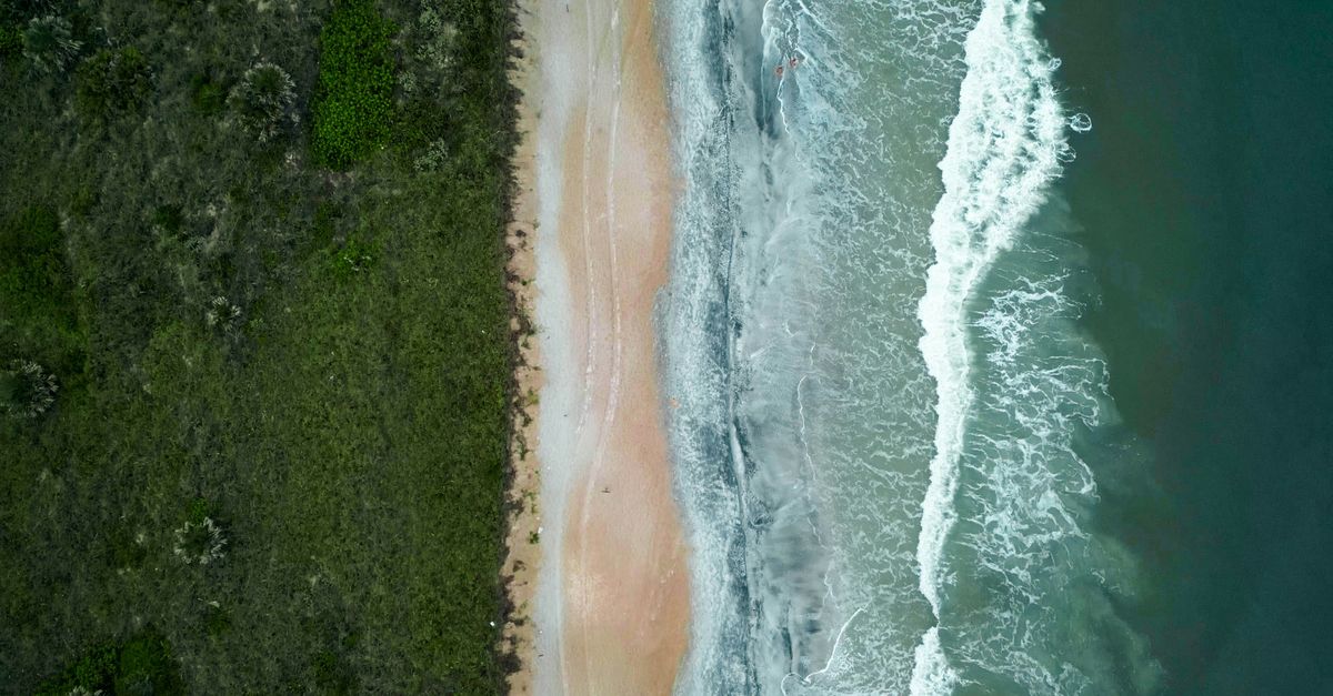 A stunning aerial view of the shoreline at St. Augustine Beach with sand, waves, and vegetation.