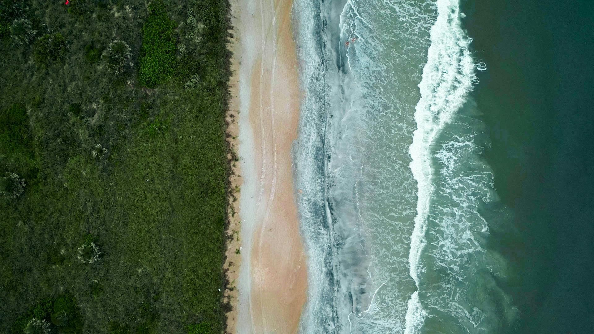 A stunning aerial view of the shoreline at St. Augustine Beach with sand, waves, and vegetation.