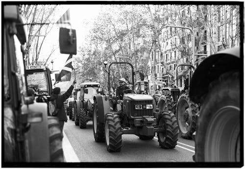 Foto d'estoc gratuïta de agricultors, agricultura, blanc i negre