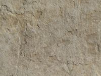 Pale sandstone grain — photo by Timothy Huliselan on Pexels
