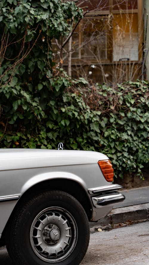 Δωρεάν στοκ φωτογραφιών με mercedes, Mercedes-Benz 280 SE, ασημί αυτοκίνητο
