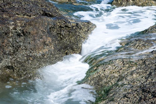 Free stock photo of blue, foam, green