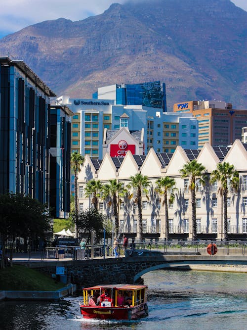 Palms in Front of a Resort in Capetown 