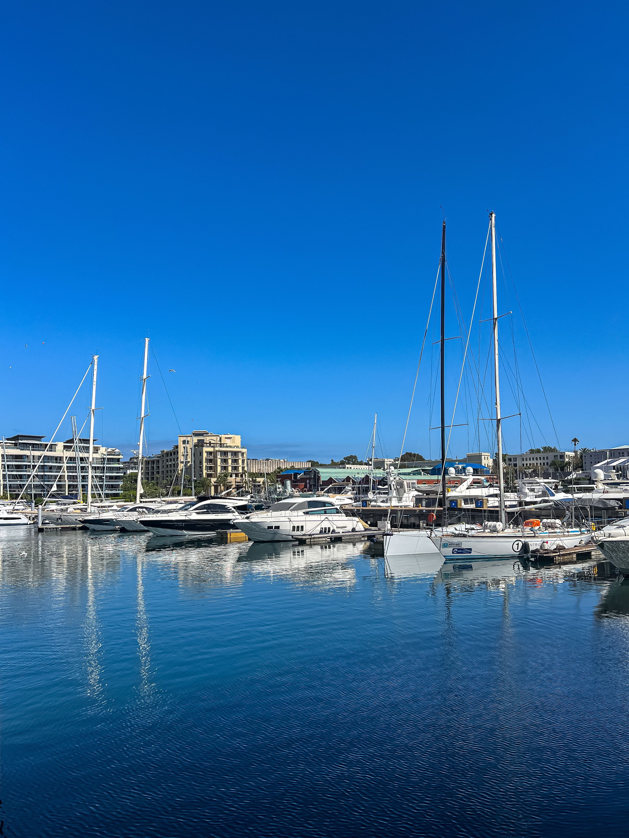 Yachts in a French Riviera marina