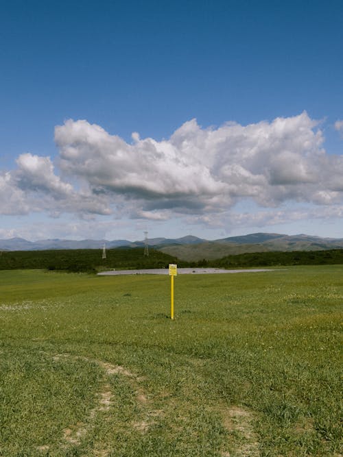 A yellow golf tee in a grassy field