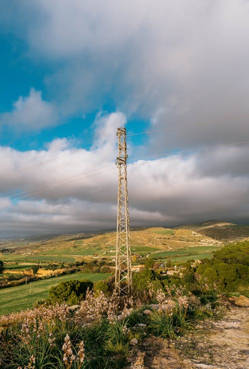 A cell phone tower in the middle of a field
