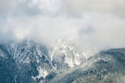Cloud over Forest in Mountains in Winter