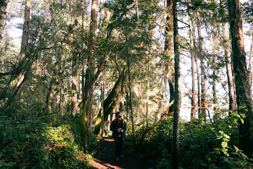 A person walking down a trail in the woods
