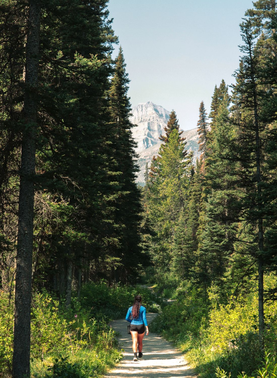 Back View of a Woman Walking on a Pathway between Green Trees · Free ...