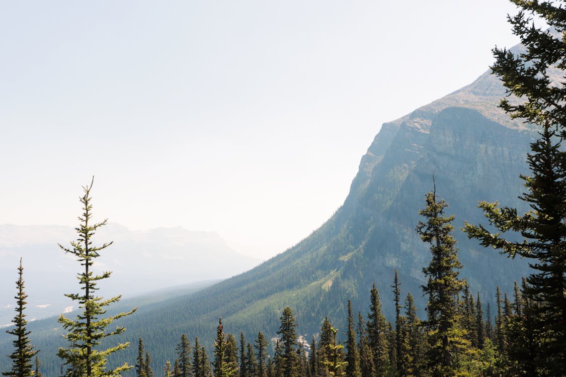 View of a Mountain