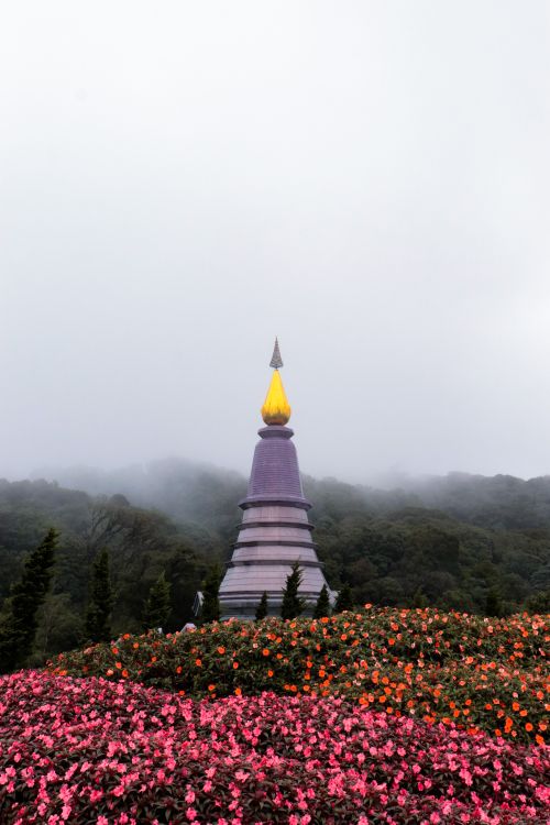 Free Purple pagoda amidst vibrant flowers and mist in mountain landscape, perfect for tranquil themes. Stock Photo