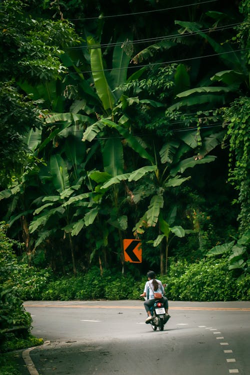 A person riding a motorcycle down a road in the jungle
