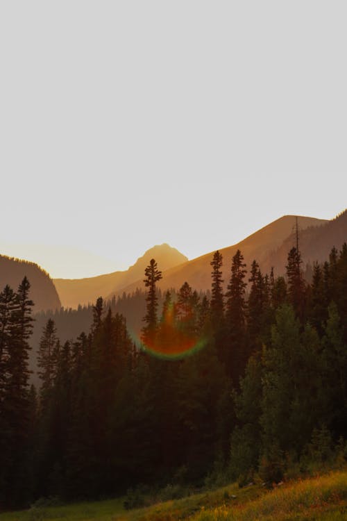 A photo of a mountain range with trees and sun