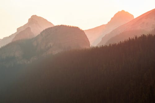 A mountain range with trees and a sunset