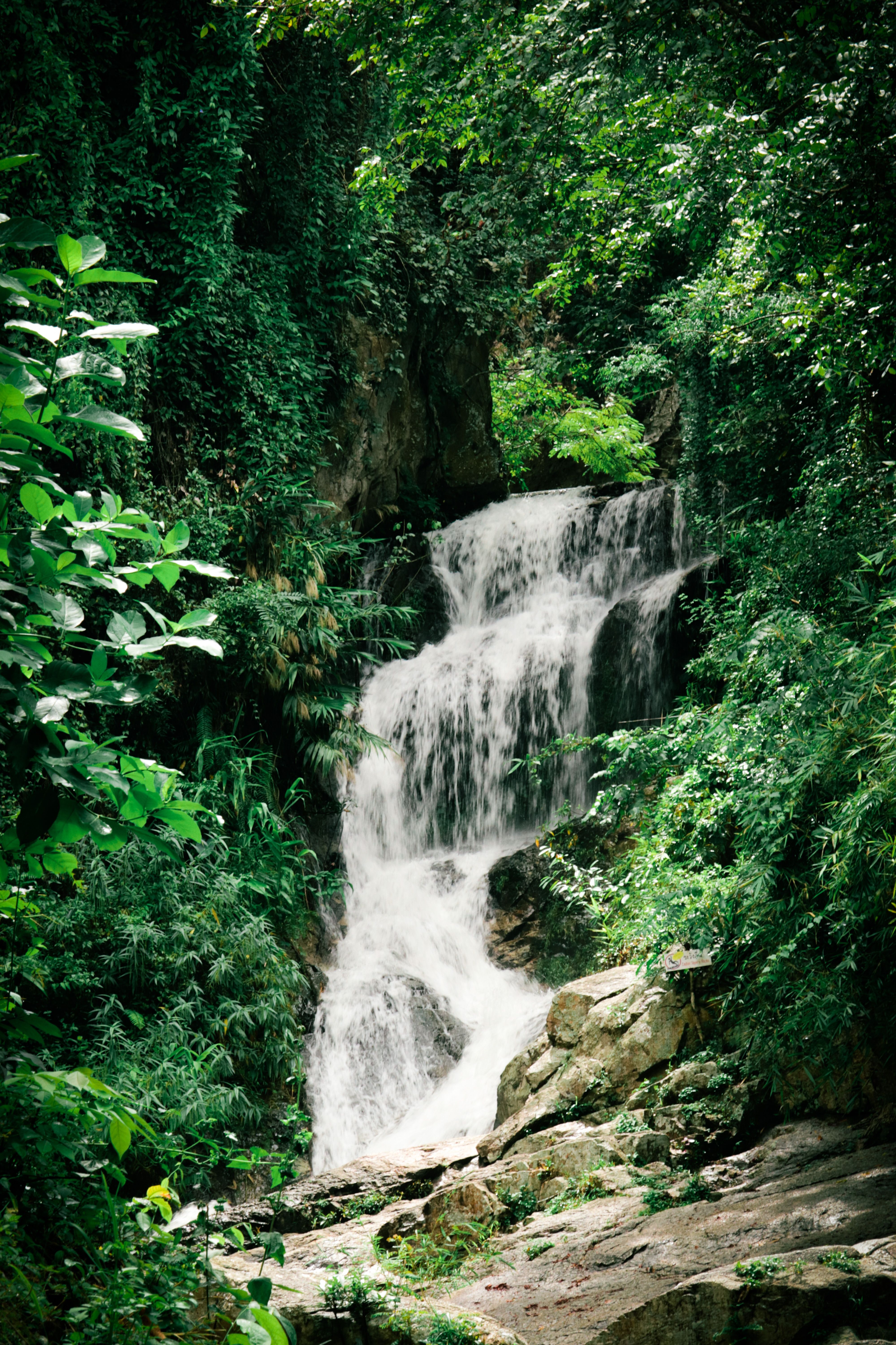 Low Angle Shot of a Cascade · Free Stock Photo