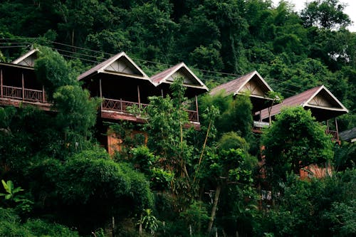 A group of wooden cabins on a hillside