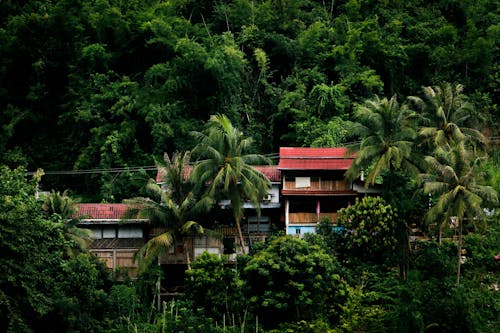 A house on a hillside surrounded by trees