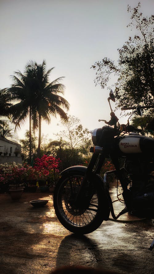 A motorcycle parked in front of a palm tree