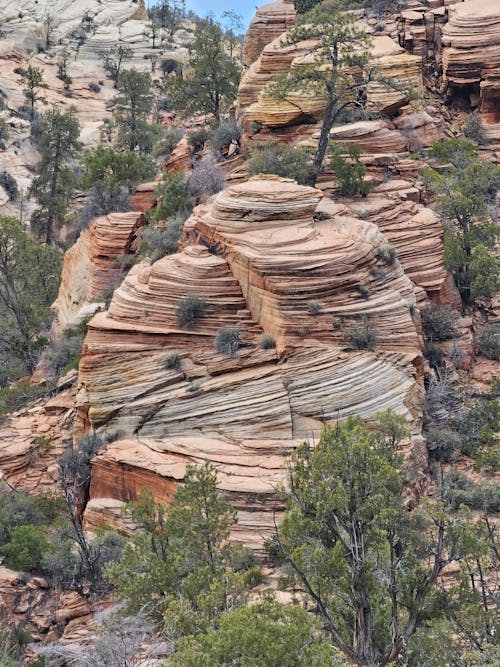 A rock formation with trees and shrubs on it