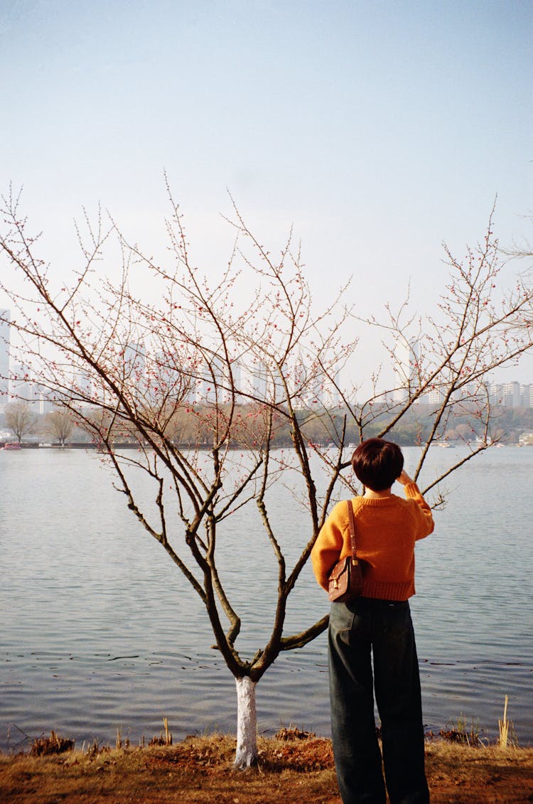 Woman Standing By Bare Tree By Lake