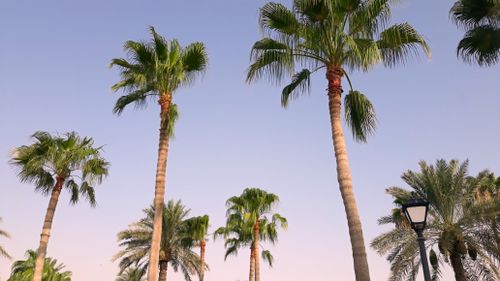 Free Doha Corniche Stock Photo