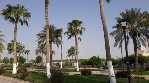 Free Doha Corniche Stock Photo