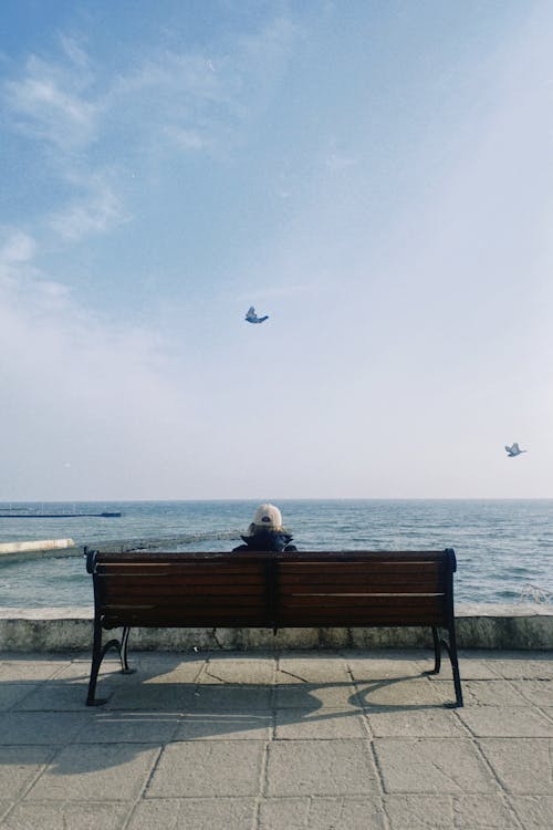 A person sitting on a bench looking at the ocean