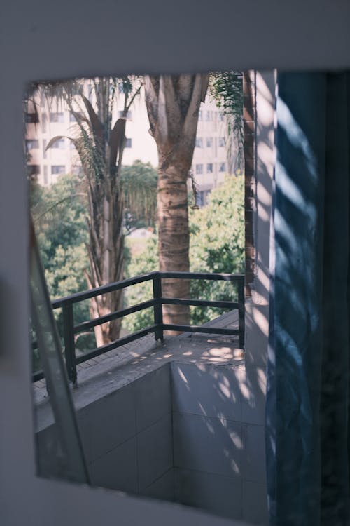 A mirror reflecting a view of a balcony and palm trees