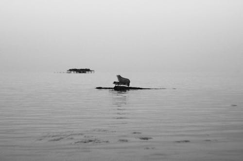 piano in the middle of the sea