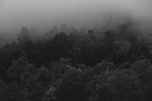 Free stock photo of adventure, black and white, countryside