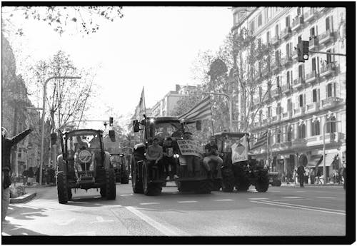 A black and white photo of tractors driving down a street
