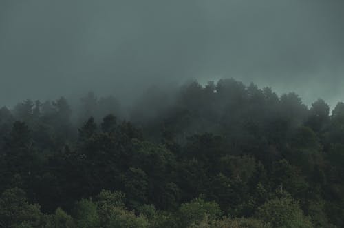 Kostnadsfri bild av äventyr, dimma, dimmig