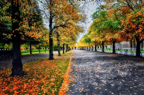 Základová fotografie zdarma na téma barvy, chodník, denní světlo