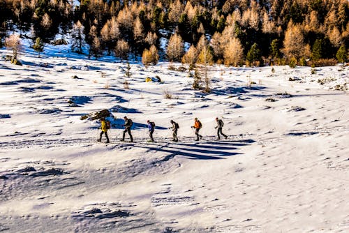 Free People Walking on Snow Stock Photo