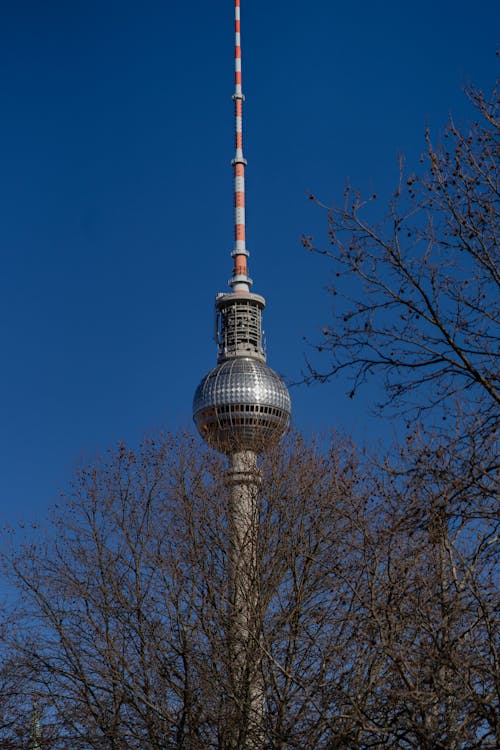 Fotobanka s bezplatnými fotkami na tému Berlín, berliner fernsehturm, bezlisté stromy