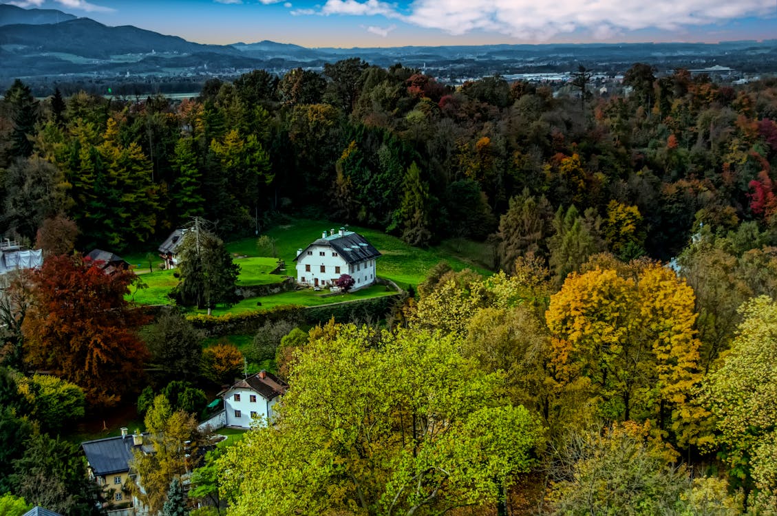 Landscape Photo of House Near Trees