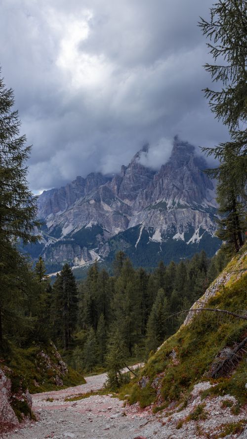 Free Majestic mountain landscape with forest path leading to dramatic peaks under cloudy skies. Stock Photo