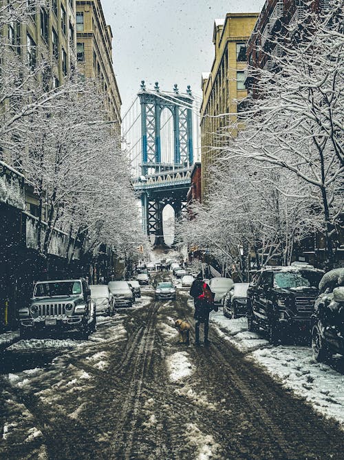 A person walking down a snowy street with the manhattan bridge in the background