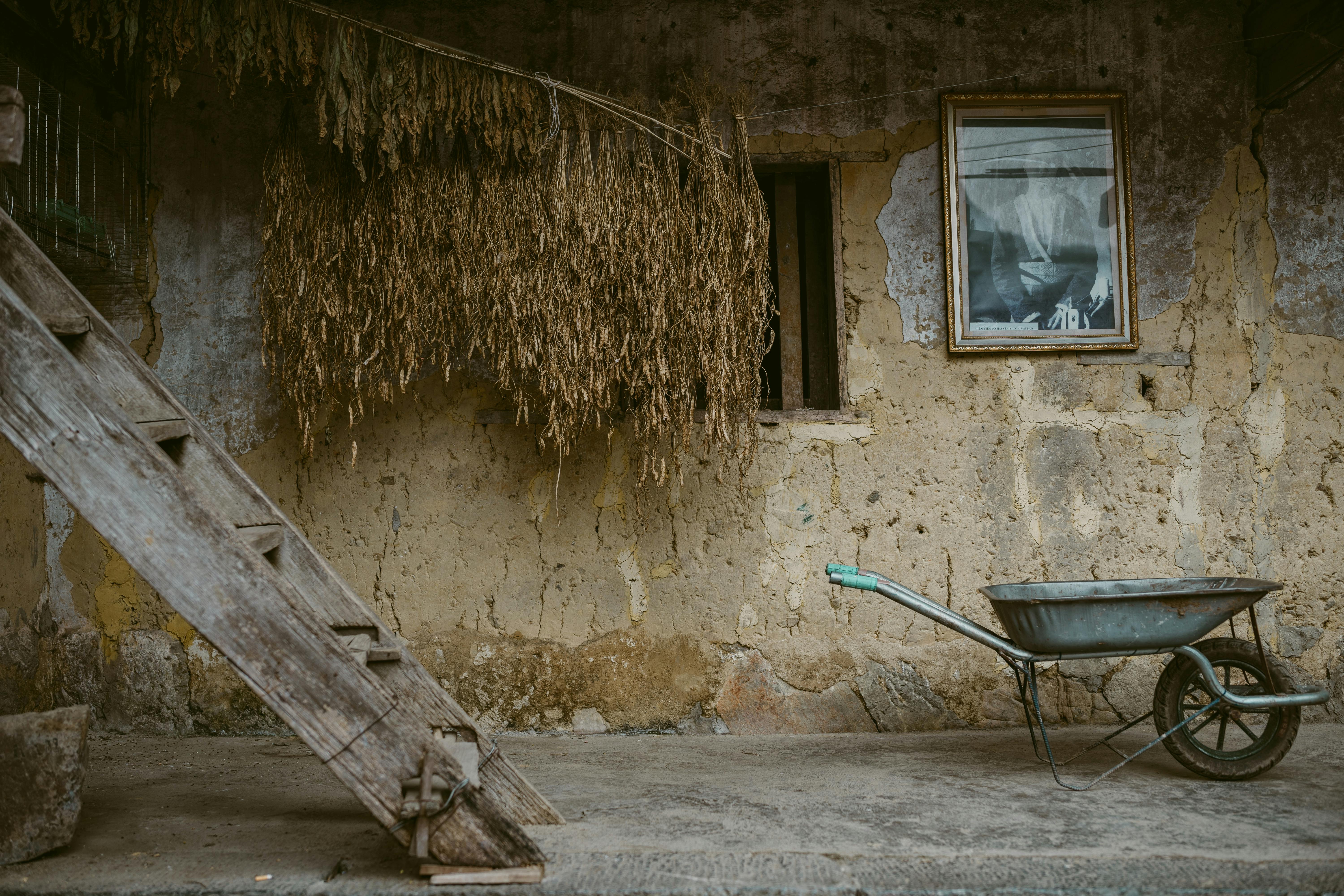 Rustic farm setting with dried plants, an old wheelbarrow, and wooden stairs.