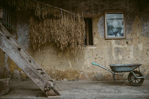 A wheelbarrow and a ladder in front of a house