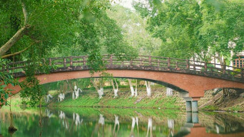 A bridge over a river with trees and water